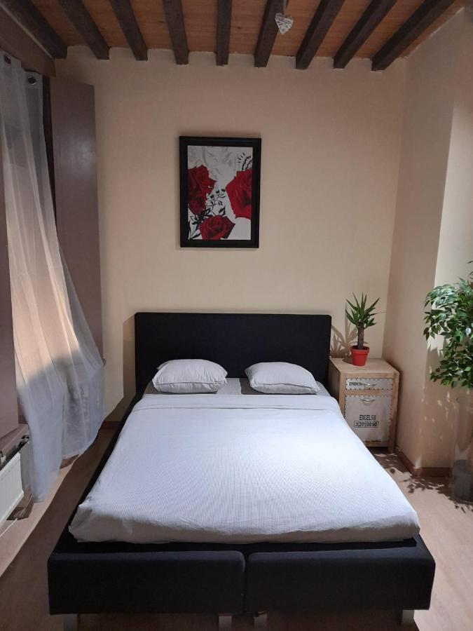 Cute,Cosy,Comfortable Studio In The Heart Of Antwerpen Apartment Luaran gambar